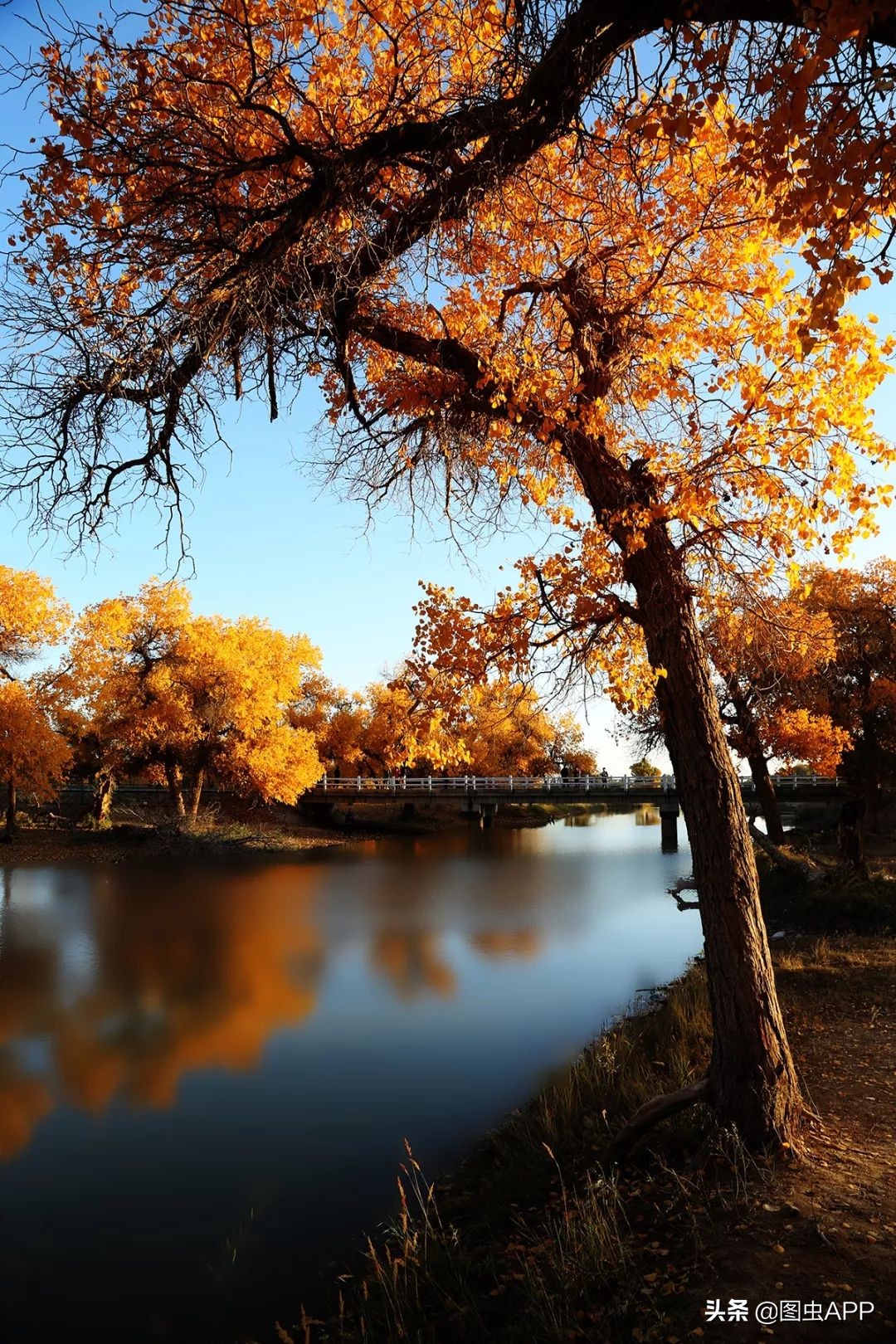 我是如何从没出过省，到周游几十个国家的？|图虫十年特辑Vol.1