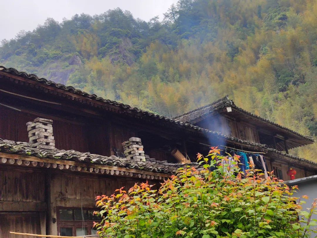 探访悬崖峭壁,大峡谷绝壁长廊