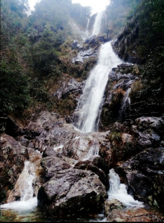 浙江传统村落:松阳李坑村,被美誉为生态旅游,绿色氧吧的村落
