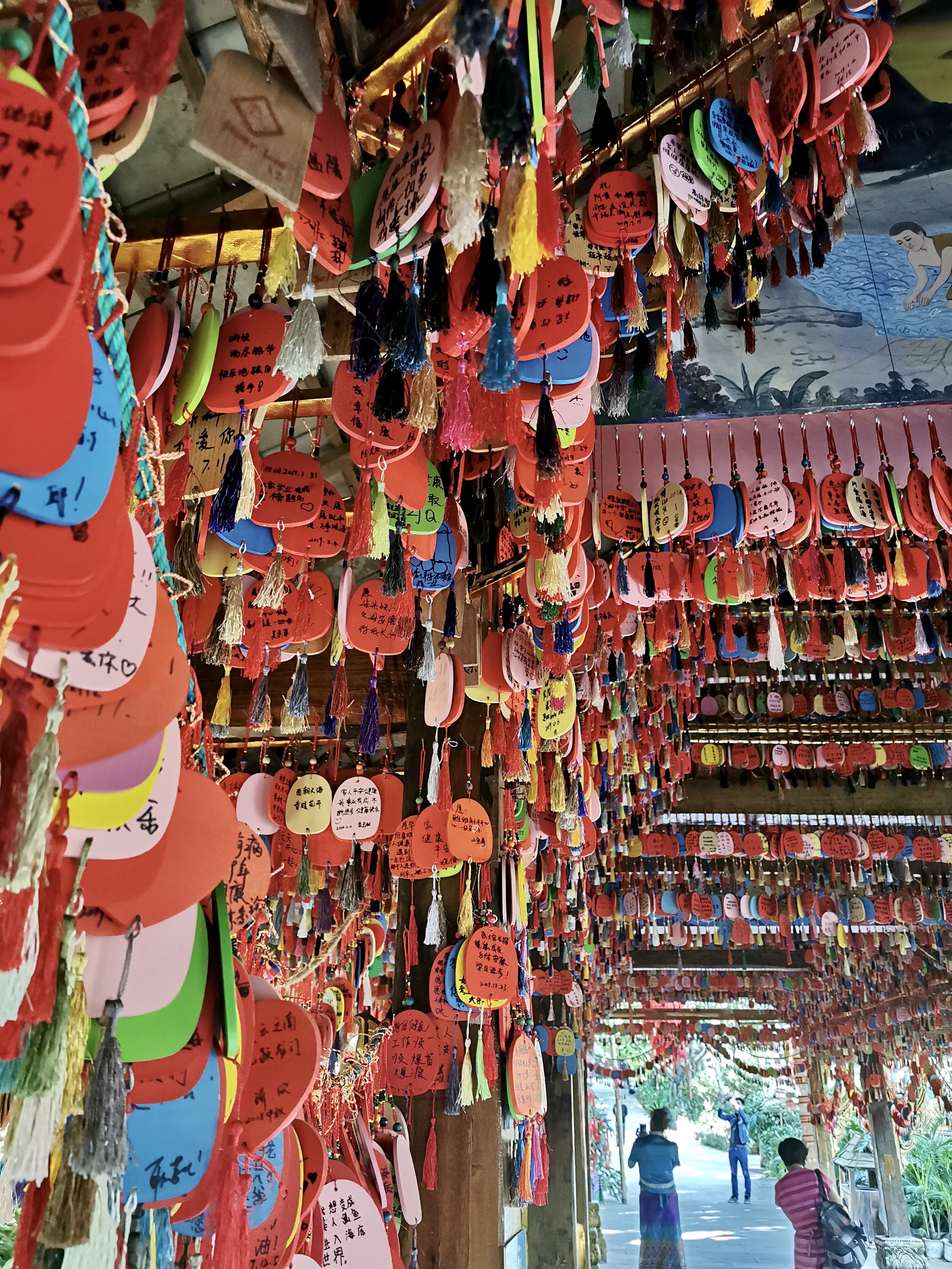 玩遍全云南,玩遍云南