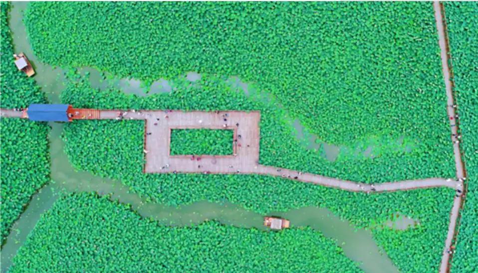 如皋被称为长寿之乡的原因,如皋是中国著名的长寿之乡