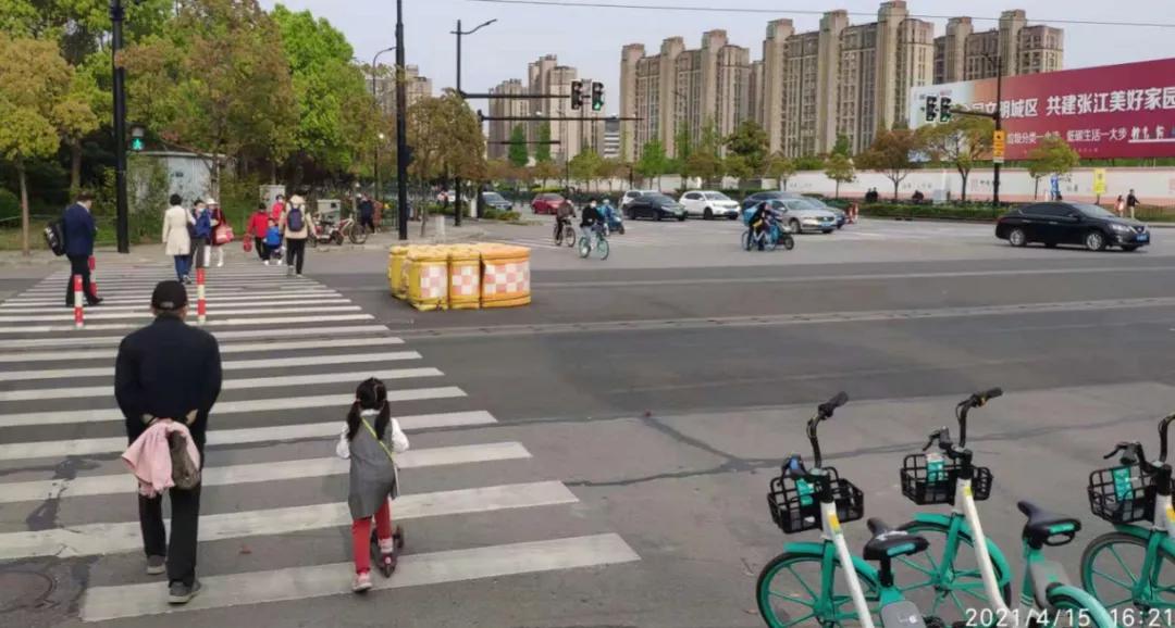 上海这个板块未来值得期待,上海的多肉品种