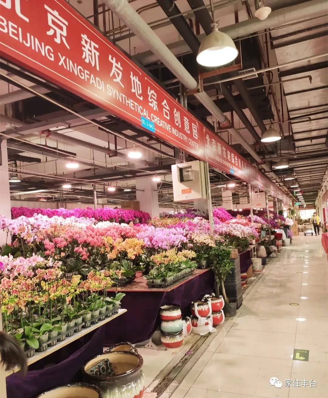 小编整理！丰台四大花市逛买攻略！春节就要这喜庆劲儿