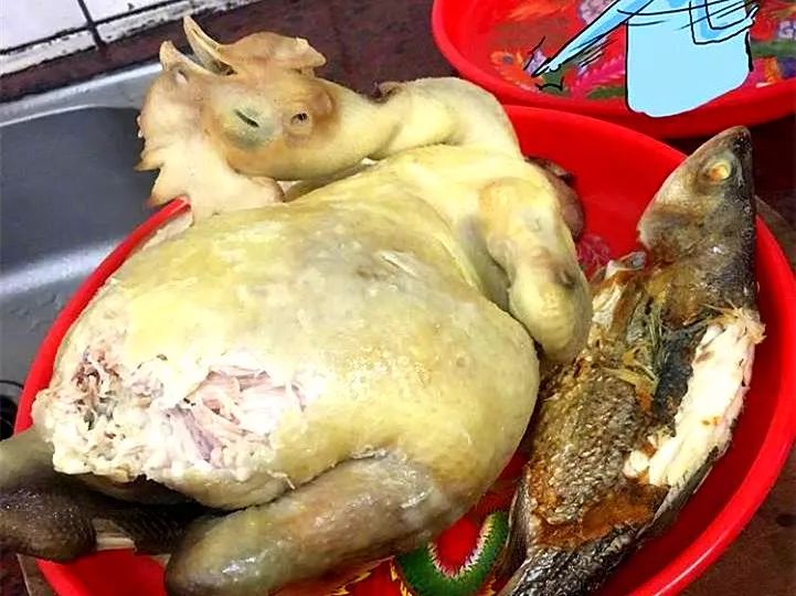 橘猫大螃蟹,橘猫挑战失败视频