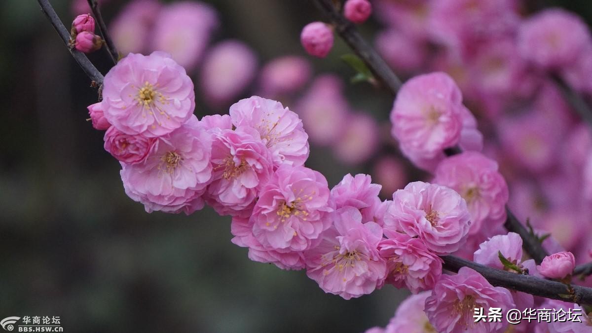 疫情下的城市生活纪录片,西安疫情每天新增记录图