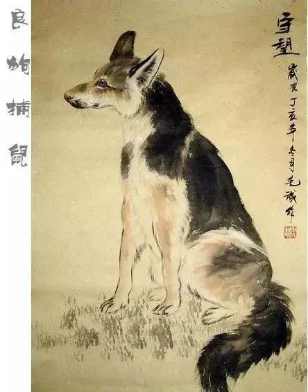 别动不动“累成狗”，汪星人表示不服！