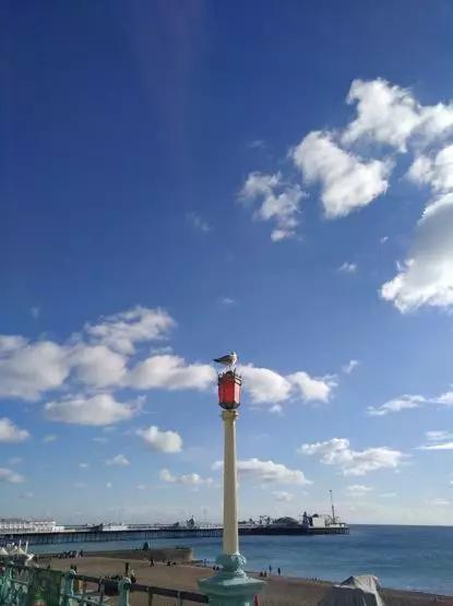 假期撒手没的戏精同事们，竟然在我挤春运的时候吹海风？？（下）