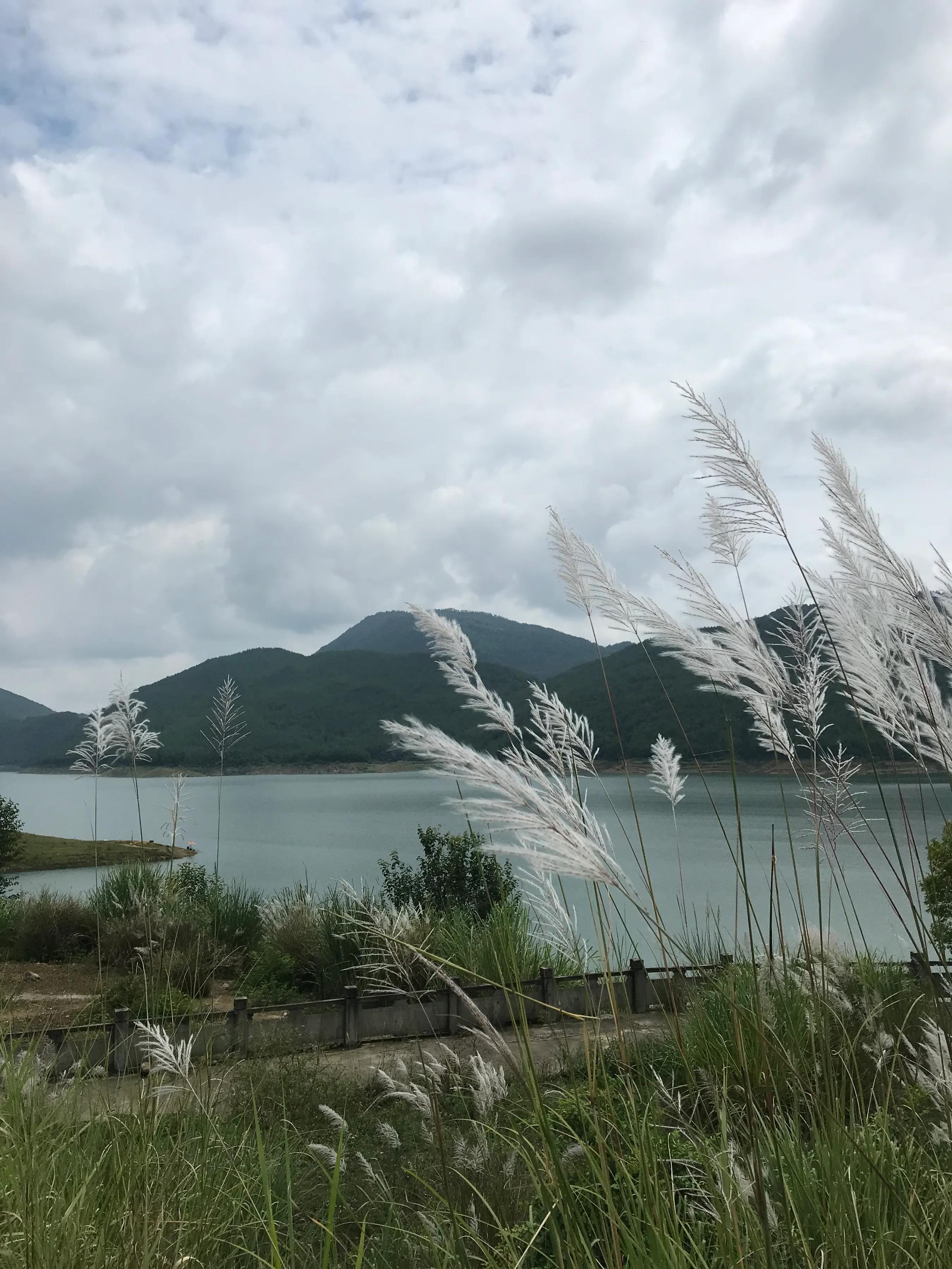 山远近路横斜读音,山远近路横斜青旗沽酒有人家意思