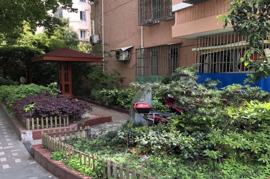 杨浦四平展区开幕,看点都在这一篇