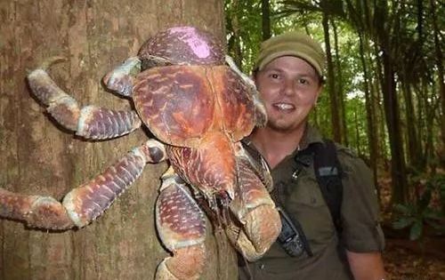 鲁滨逊漂流记荒岛生存指南,鲁滨逊漂流记惊险刺激及求生方法