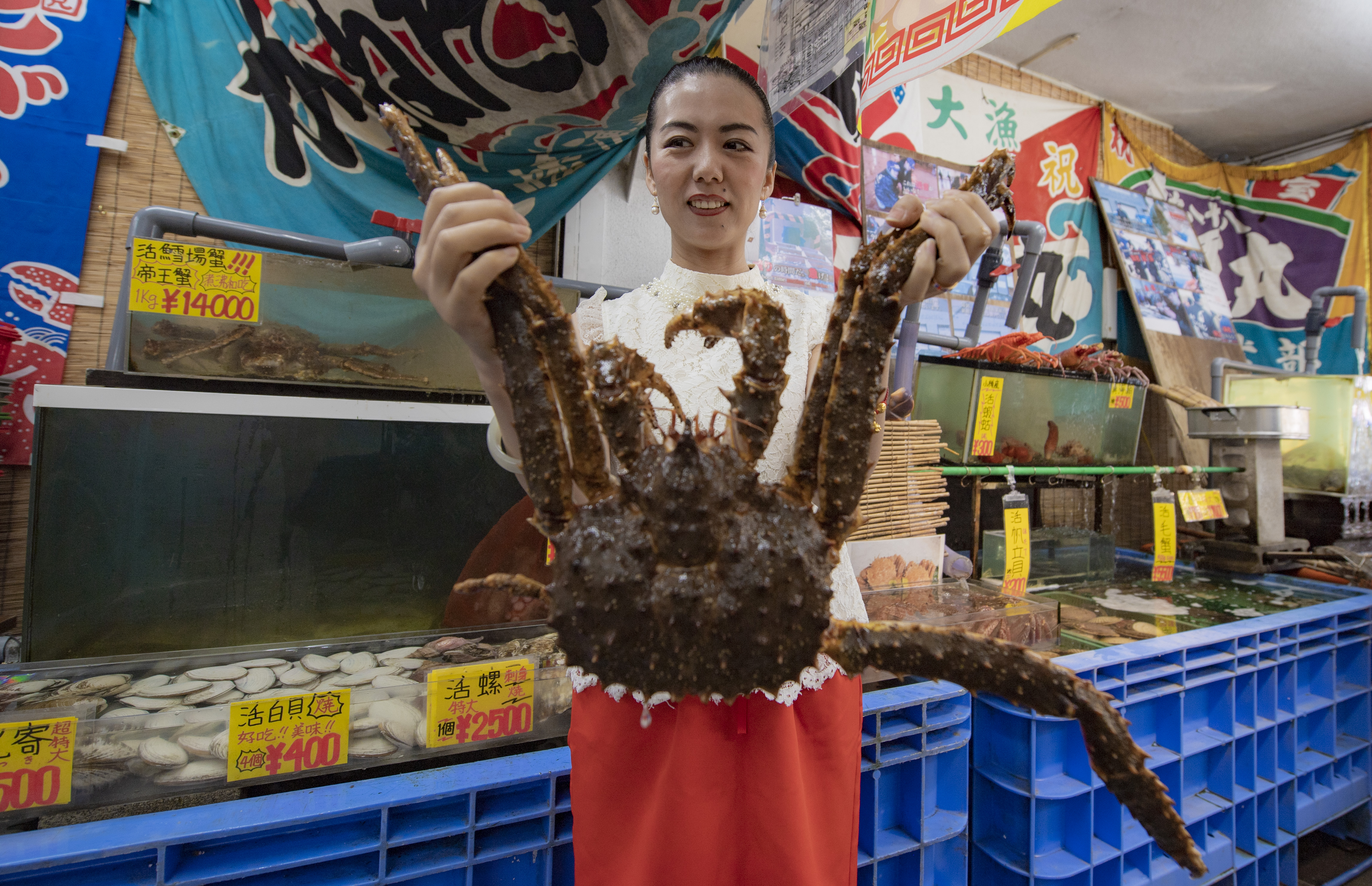 走街串巷边吃边逛，亲身探寻舌尖上的北海道