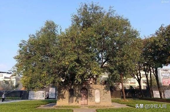 南阳怎样？看完你也会说“中！中！中！”