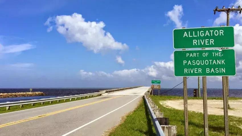 与熊同居28年后神秘死亡，这个女人传奇的一生，隐藏着惊人结局……