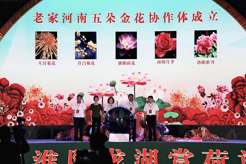 淮阳龙湖风景区荷花盛开,淮阳荷花风景区