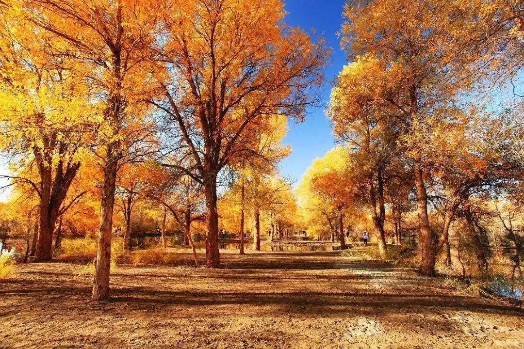 国内小众拍照胜地排名,文艺气息满溢的拍照圣地