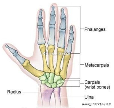 手腕关节灵活性练习方法,腕关节灵活性训练方法