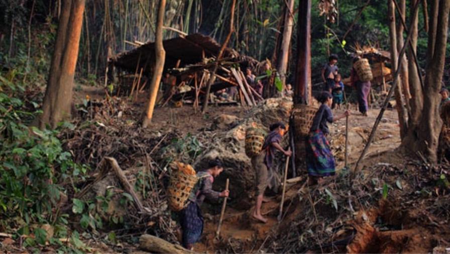 美国为啥有很多苗人,美国为什么有近30万苗族人