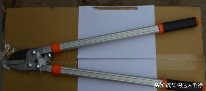 果树整形修剪技术,苹果树整形修剪基础知识