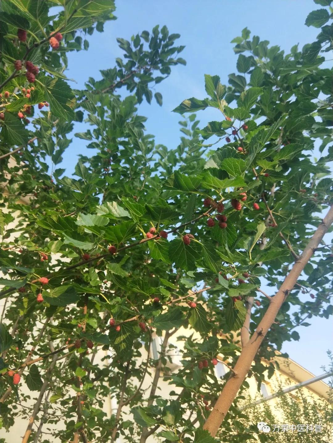 跟我回家在线免费看,跟我回家免费看