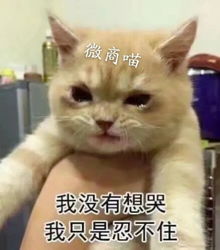 微商为什么被定性为传销,微商是不是变相传销