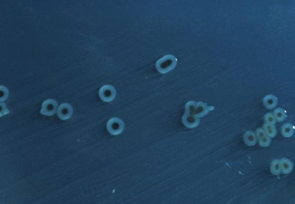 宇航员被遗忘在太空的真实的秘密,宇航员在太空有哪些生活特点