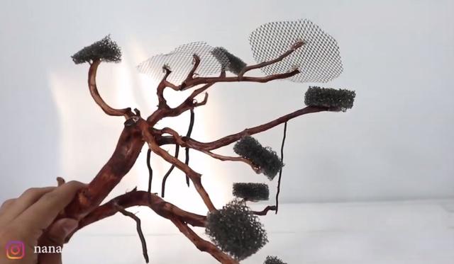 莫斯树到底好不好,莫斯树是什么