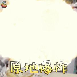 鍛煎拰娴╃壒姘戠敓鏈嶅姟骞冲彴鐩存挱,鍛煎拰娴╃壒姘戠敓鏈嶅姟骞冲彴