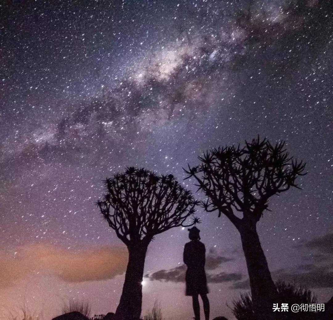 53天环游世界旅行,80天环游世界环游了哪几个国家