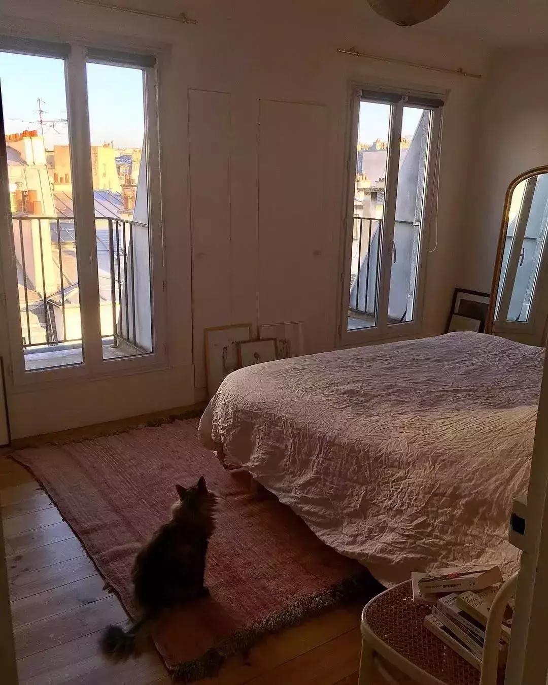 老佛爷的遗产真的由猫继承,老佛爷的所有家产最后留给了猫