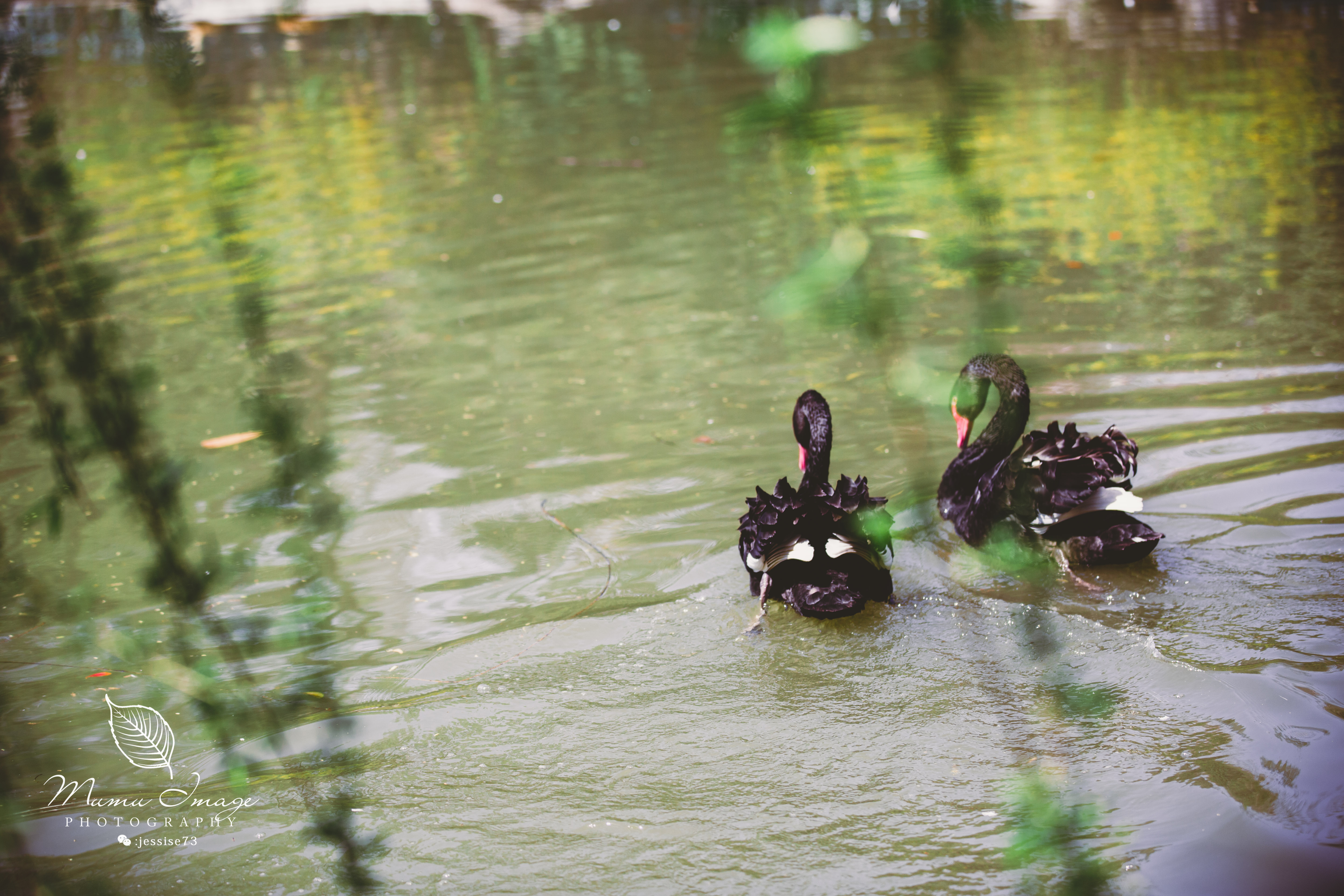扬州是个不花钱的公园,扬州本地人最喜欢去的公园