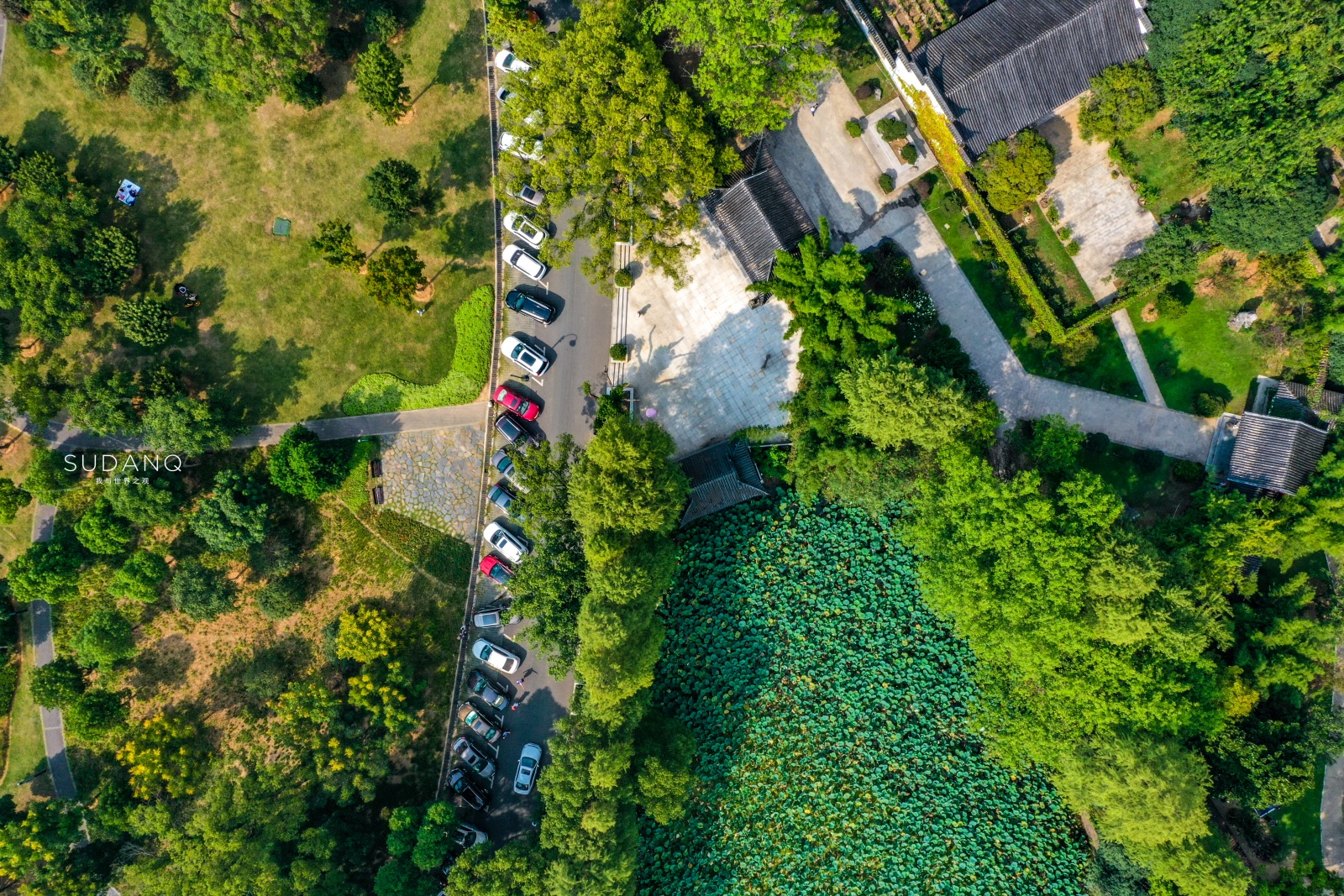 武汉东湖发生什么事,武汉东湖最近发生的大事