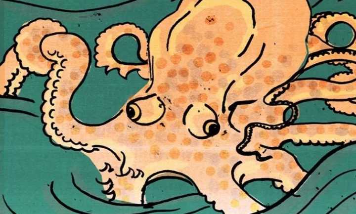 章鱼是不是地球上最聪明的生物 (科学探索章鱼的高智商来自哪里)