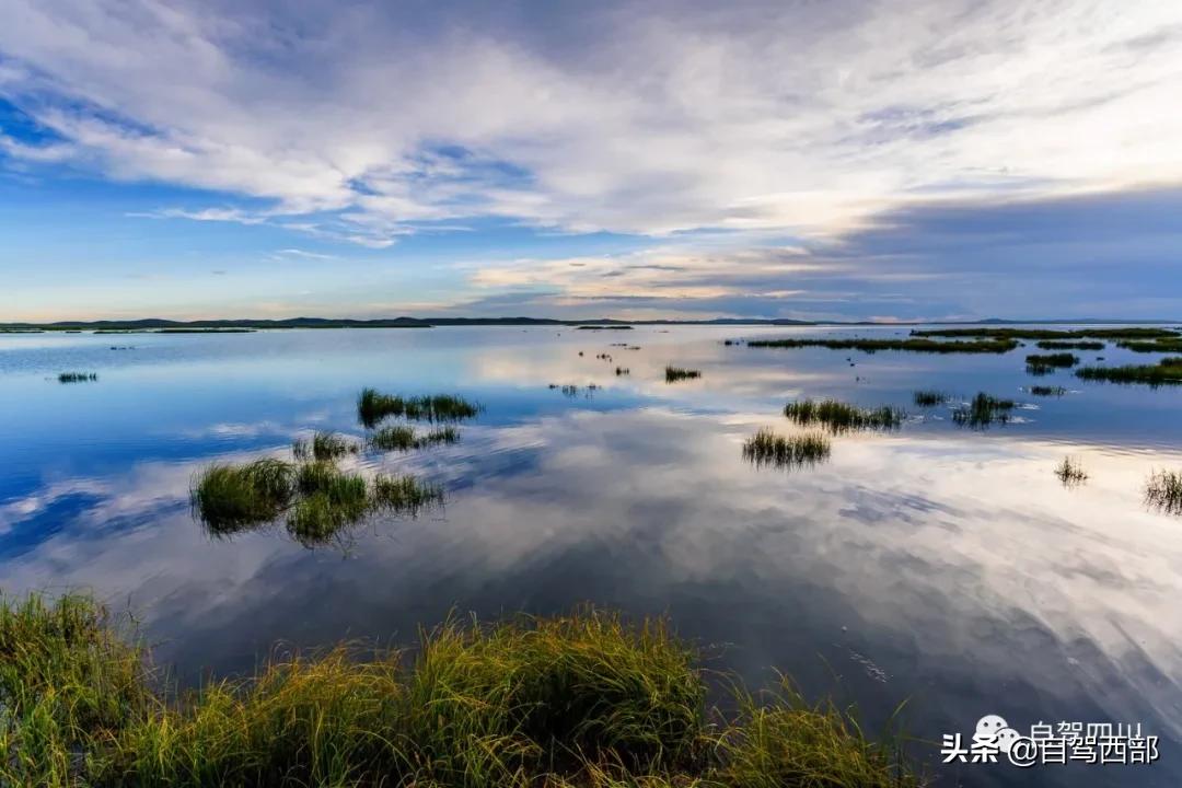 鑻ュ皵鐩栧ぇ鑽夊師杩樻湁娌℃湁婀垮湴,鑻ュ皵鐩栨箍鍦伴粍娌崇殑澶ц嚧璧板悜