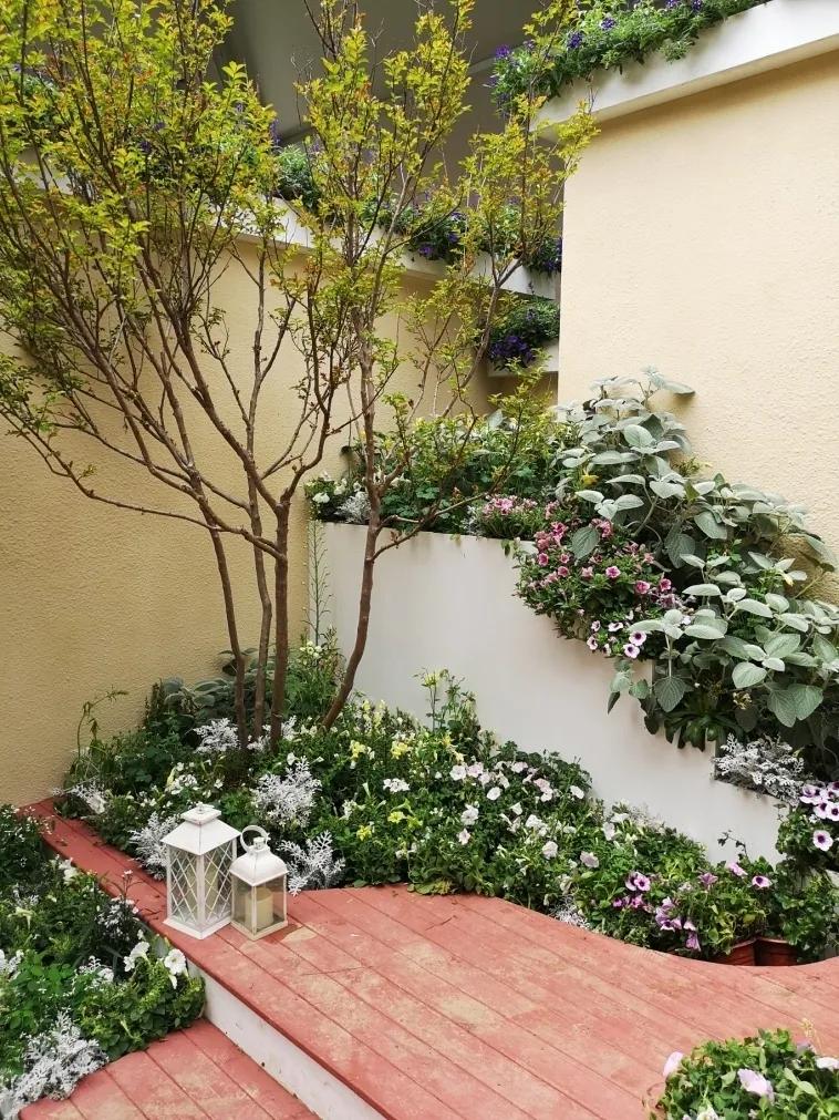 这个花展上的新优品种，为什么这么美？