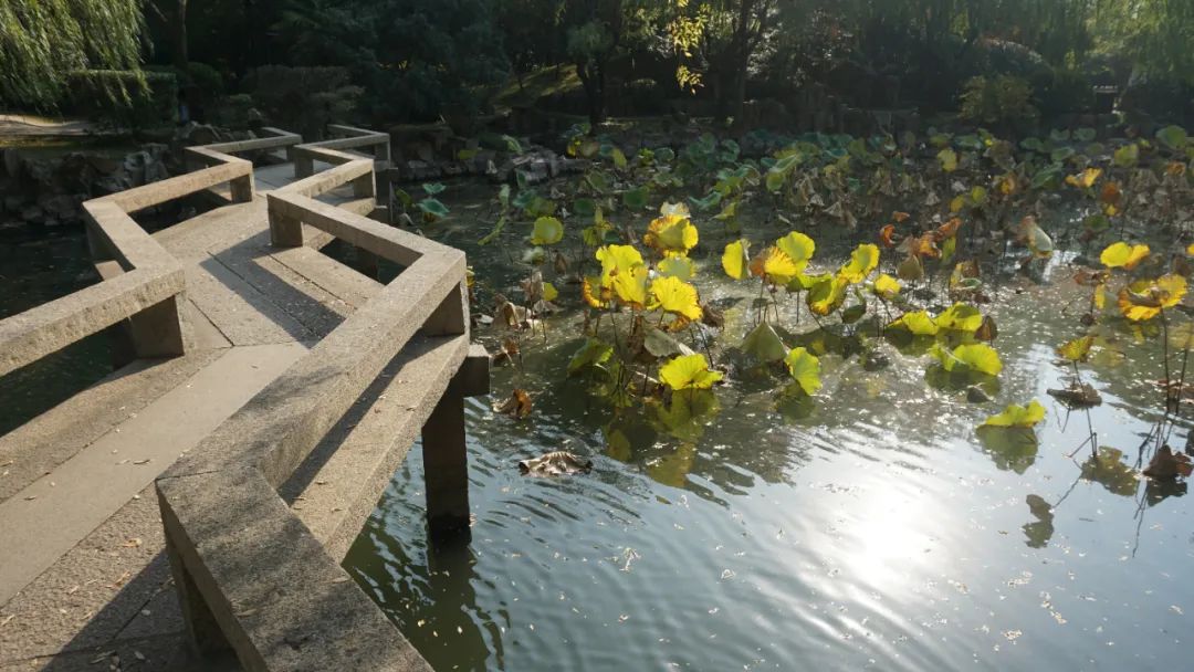 上海启庐太湖启园,太湖启园门票最新消息