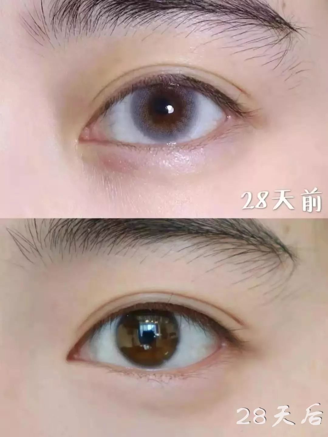 李佳琦没火之前就安利！黑科技“欧莱雅紫熨斗眼霜”