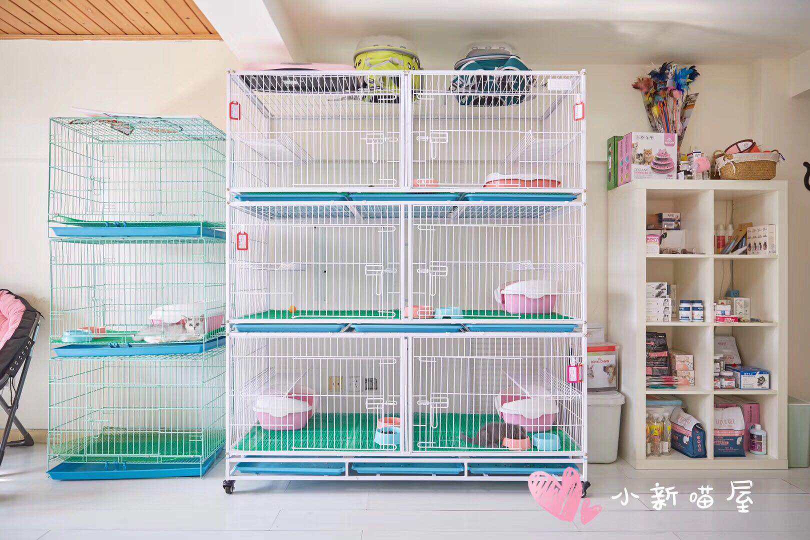 怎么防买到星期猫,如何避免在市场买到星期猫