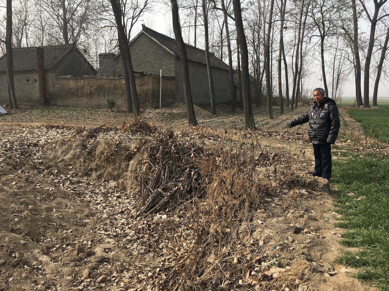 河南杀害堂妹案,河南省杀死学生一案