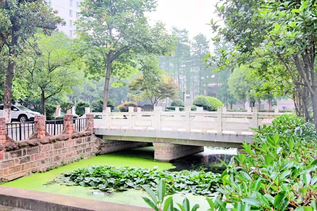 武昌这所低调的大学坐拥一线江景,教学楼窗外就是黄鹤楼