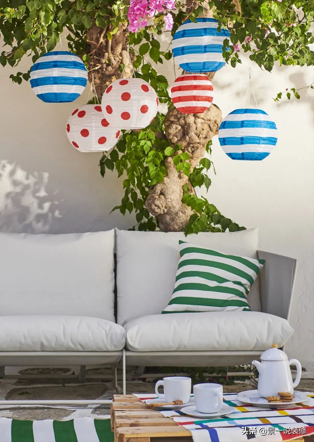 室内植物的摆放设计及养护,室内什么盆栽植物好养护呢