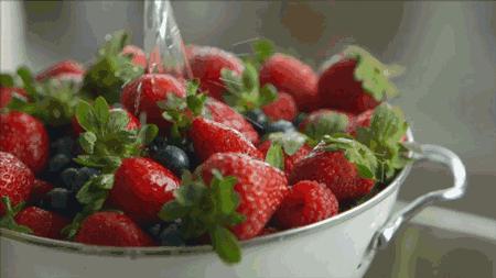 炸裂!因为一只猫,苏州人开启尖叫模式!