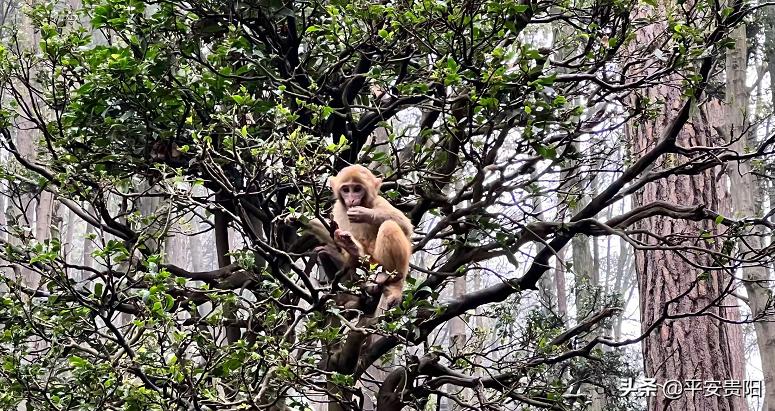 越来越嚣张了怎么办,越来越嚣张怎么解决
