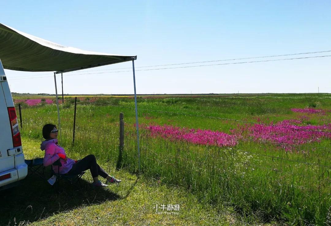 小牛游记2019,小牛骑行之旅