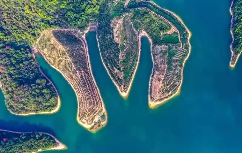 杭州的秋天随处可见都是美景,杭州西溪湿地美成调色盘