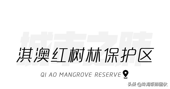 等疫情结束，珠海这些「小众打卡地」你一定要去！