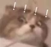 低卡零食别被骗了,低卡低脂零食骗局