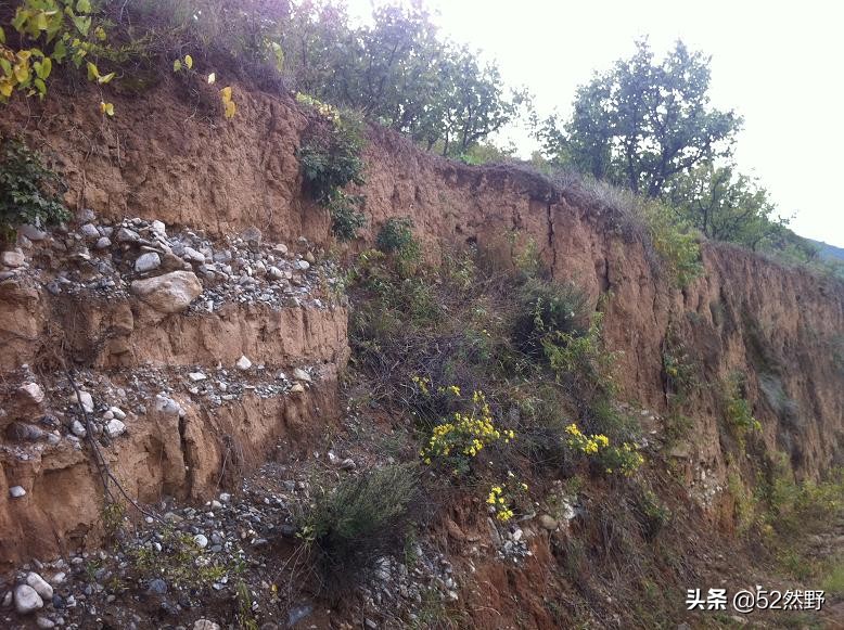 桑干河原唱完整版,桑干河诗句