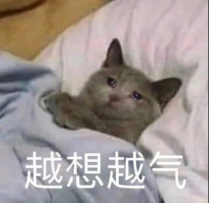 给点¥疏通关系，科目三稳过？这是诈骗！