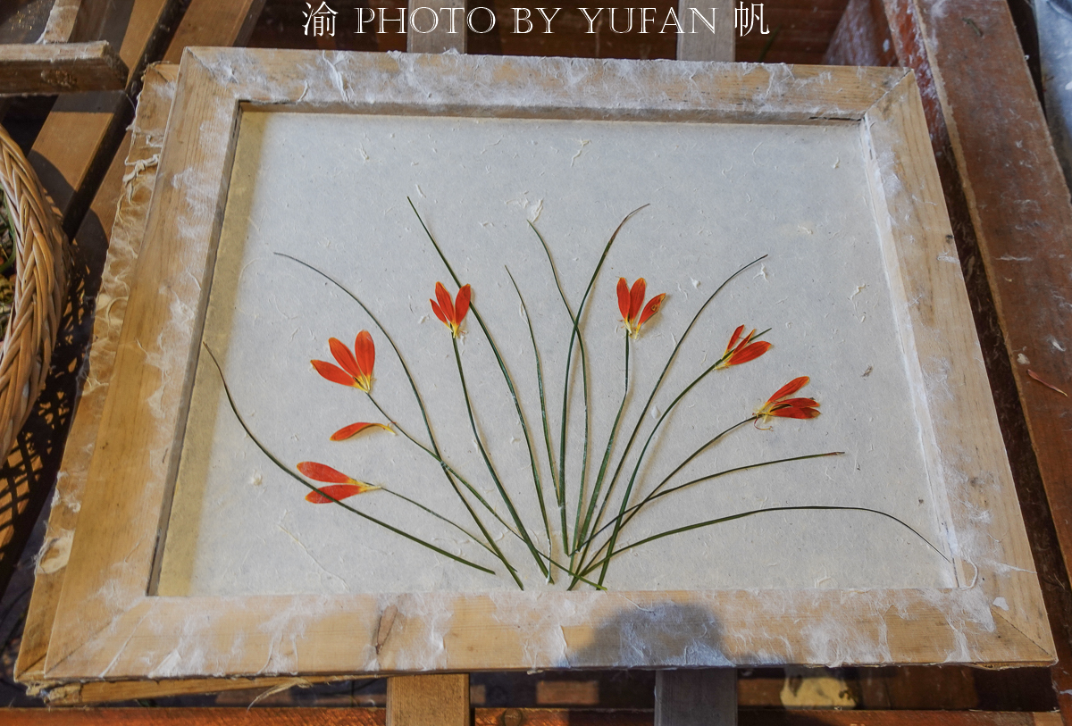 贵州省丹寨县的石桥古法造纸技艺,贵州体验非遗手工艺