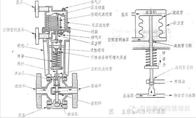 电厂发电机密封油系统工作原理,单流密封油系统发电机进油原因